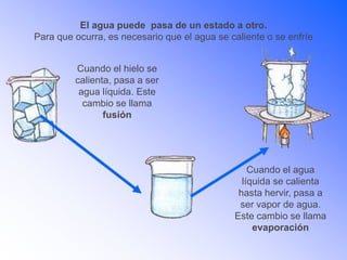 El agua puede pasa de un estado a otro.
Para que ocurra, es necesario que el agua se caliente o se enfríe
Cuando el hielo se
calienta, pasa a ser
agua líquida. Este
cambio se llama
fusión
Cuando el agua
líquida se calienta
hasta hervir, pasa a
ser vapor de agua.
Este cambio se llama
evaporación
 