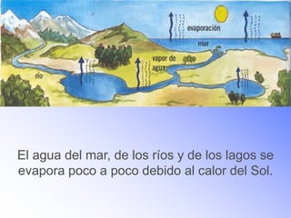 El agua del mar, de los ríos y de los lagos se
evapora poco a poco debido al calor del Sol.
 