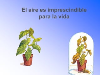 El aire es imprescindible
para la vida
 