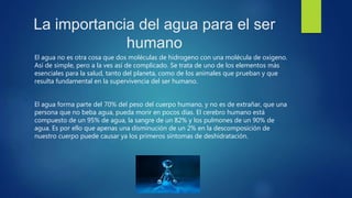 La importancia del agua para el ser
humano
El agua no es otra cosa que dos moléculas de hidrogeno con una molécula de oxigeno.
Así de simple, pero a la ves así de complicado. Se trata de uno de los elementos más
esenciales para la salud, tanto del planeta, como de los animales que prueban y que
resulta fundamental en la supervivencia del ser humano.
El agua forma parte del 70% del peso del cuerpo humano, y no es de extrañar, que una
persona que no beba agua, pueda morir en pocos días. El cerebro humano está
compuesto de un 95% de agua, la sangre de un 82% y los pulmones de un 90% de
agua. Es por ello que apenas una disminución de un 2% en la descomposición de
nuestro cuerpo puede causar ya los primeros síntomas de deshidratación.
 