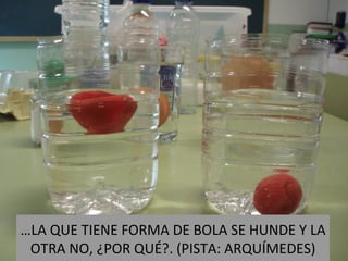 … LA QUE TIENE FORMA DE BOLA SE HUNDE Y LA OTRA NO, ¿POR QUÉ?. (PISTA: ARQUÍMEDES) 