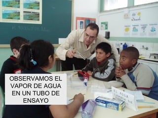 OBSERVAMOS EL VAPOR DE AGUA EN UN TUBO DE ENSAYO 