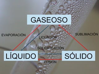GASEOSO LÍQUIDO SÓLIDO EVAPORACIÓN SUBLIMACIÓN FUSIÓN LICUACIÓN SOLIDIFICACIÓN 