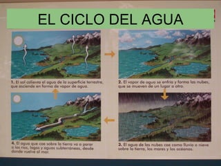EL CICLO DEL AGUA 