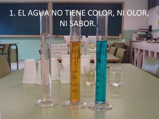 1. EL AGUA NO TIENE COLOR, NI OLOR, NI SABOR. . 