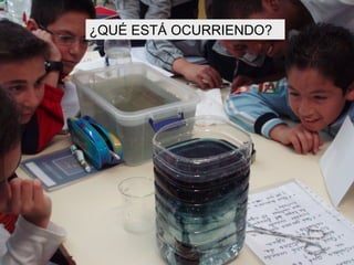 ¿QUÉ ESTÁ OCURRIENDO? 