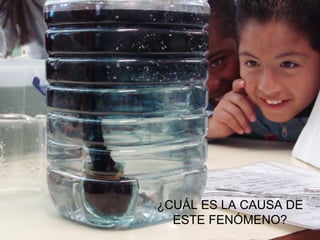 ¿CUÁL ES LA CAUSA DE ESTE FENÓMENO? 