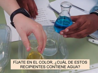 FÍJATE EN EL COLOR, ¿CUÁL DE ESTOS RECIPIENTES CONTIENE AGUA? 