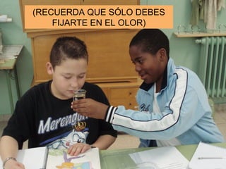 (RECUERDA QUE SÓLO DEBES FIJARTE EN EL OLOR) 
