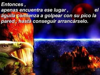 Entonces ,  apenas encuentra ese lugar ,  el águila comienza a golpear con su pico la pared , hasta conseguir arrancárselo. 