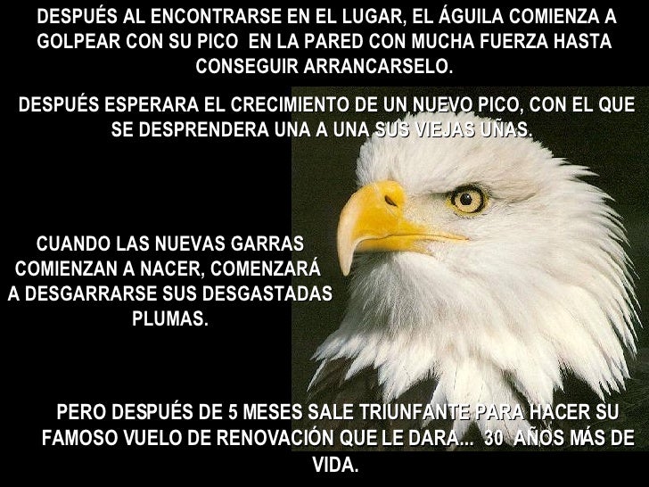 El Aguila
