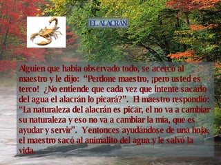 Alguien que había observado todo, se acercó al maestro y le dijo:  “Perdone maestro, ¡pero usted es terco!  ¿No entiende que cada vez que intente sacarlo del agua el alacrán lo picará?”.  El maestro respondió:  “La naturaleza del alacrán es picar, el no va a cambiar su naturaleza y eso no va a cambiar la mía, que es ayudar y servir”.  Y entonces ayudándose de una hoja, el maestro sacó al animalito del agua y le salvó la vida. EL ALACRÁN 