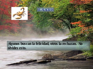 Algunos buscan la felicidad, otros la rechazan.  No olvides esto. EL ALACRÁN 