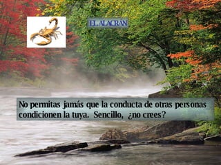 No permitas jamás que la conducta de otras personas condicionen la tuya.  Sencillo,  ¿no crees? EL ALACRÁN 