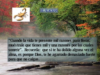 “ Cuando la vida te presente mil razones para llorar, muéstrale que tienes mil y una razones por las cuales sonreír”.  Recuerda:  que si te ha dolido alguna vez el alma, es porque Dios, te he agarrado demasiado fuerte para que no caigas. EL ALACRÁN 