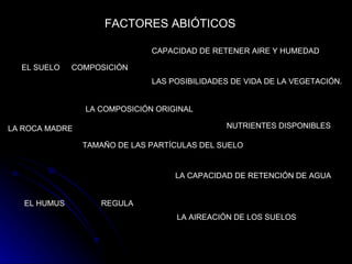 FACTORES ABIÓTICOS EL SUELO COMPOSICIÓN   CAPACIDAD DE RETENER AIRE Y HUMEDAD   LAS POSIBILIDADES DE VIDA DE LA VEGETACIÓN.  LA ROCA MADRE LA COMPOSICIÓN ORIGINAL  TAMAÑO DE LAS PARTÍCULAS DEL SUELO   NUTRIENTES DISPONIBLES  EL HUMUS   REGULA  LA CAPACIDAD DE RETENCIÓN DE AGUA  LA AIREACIÓN DE LOS SUELOS  