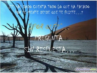 ¿TE HAS DADO CUENTA TODO LO QUE HA PASADO POR SU MENTE DESDE QUE TE FUISTE…? “ ¿POR QUÉ?” … PREGUNTA SIN RESPUESTA… 