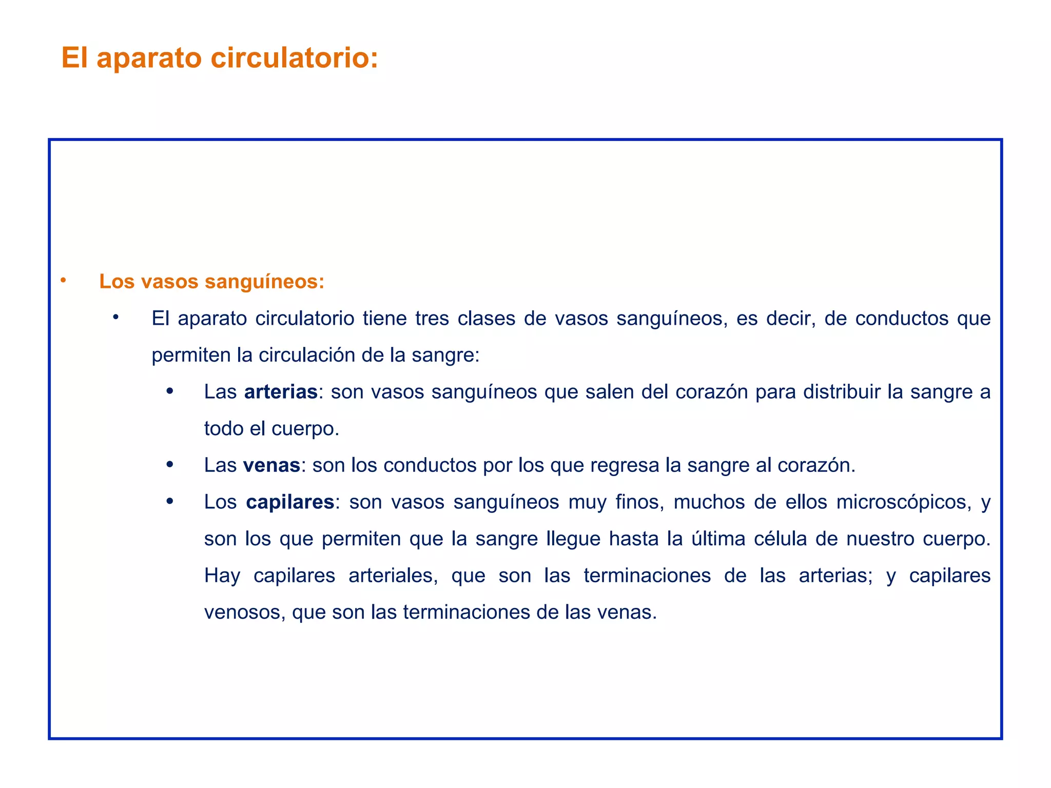 Los vasos sanguíneos: El aparato circulatorio tiene tres clases de vasos sanguíneos, es decir, de conductos que permiten la circulación de la sangre: Las  arterias : son vasos sanguíneos que salen del corazón para distribuir la sangre a todo el cuerpo. Las  venas : son los conductos por los que regresa la sangre al corazón. Los  capilares : son vasos sanguíneos muy finos, muchos de ellos microscópicos, y son los que permiten que la sangre llegue hasta la última célula de nuestro cuerpo. Hay capilares arteriales, que son las terminaciones de las arterias; y capilares venosos, que son las terminaciones de las venas. El aparato circulatorio: 