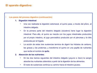 Los pasos del proceso digestivo (continuación): Digestión intestinal: Una vez realizada la digestión estomacal, el quimo pasa, a través del píloro, al intestino delgado. En la primera parte del intestino delgado ( duodeno ) tiene lugar la digestión intestinal. Para ello, el quimo se mezcla con los jugos intestinales producidos por el propio intestino, el jugo pancreático producido por el páncreas y la bilis producida por el hígado. La acción de estas tres sustancias termina de digerir los hidratos de carbono, las grasas y las proteínas; y transforma el quimo en una papilla de nutrientes que recibe el nombre de  quilo . Absorción de los nutrientes: En los dos tramos siguientes del intestino delgado ( yeyuno  e  íleon ) la sangre absorbe los nutrientes obtenidos a partir de la digestión de los alimentos. El resto de sustancias continúa su camino hacia el intestino grueso. El aparato digestivo: 