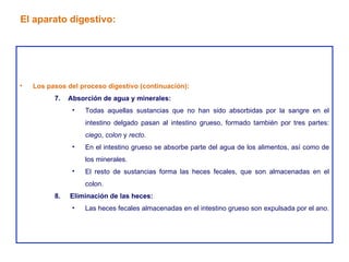 Los pasos del proceso digestivo (continuación): 7.  Absorción de agua y minerales: Todas aquellas sustancias que no han sido absorbidas por la sangre en el intestino delgado pasan al intestino grueso, formado también por tres partes:  ciego ,  colon  y  recto . En el intestino grueso se absorbe parte del agua de los alimentos, así como de los minerales. El resto de sustancias forma las heces fecales, que son almacenadas en el colon. 8.  Eliminación de las heces: Las heces fecales almacenadas en el intestino grueso son expulsada por el ano. El aparato digestivo: 