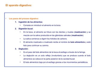 Los pasos del proceso digestivo: Ingestión de los alimentos: Consiste en introducir el alimento en la boca. Digestión bucal: En la boca, el alimento se tritura con los dientes y muelas ( masticación ) y se mezcla con la saliva producida en las glándulas salivales ( insalivación ). La saliva comienza a digerir los hidratos de carbono. El alimento masticado e insalivado recibe el nombre de  bolo alimenticio  y está listo para continuar su camino. Deglución: Es el paso del bolo alimenticio de la boca al esófago a través de la faringe. La deglución es un acto reflejo (involuntario) que se produce cuando el bolo alimenticio se coloca en la parte posterior de la cavidad bucal. El bolo alimenticio baja por el esófago gracias a los movimientos peristálticos. El aparato digestivo: 