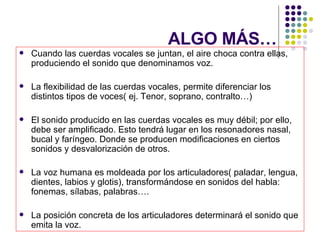 ALGO MÁS… Cuando las cuerdas vocales se juntan, el aire choca contra ellas, produciendo el sonido que denominamos voz. La flexibilidad de las cuerdas vocales, permite diferenciar los distintos tipos de voces( ej. Tenor, soprano, contralto…) El sonido producido en las cuerdas vocales es muy débil; por ello, debe ser amplificado. Esto tendrá lugar en los resonadores nasal, bucal y faríngeo. Donde se producen modificaciones en ciertos sonidos y desvalorización de otros. La voz humana es moldeada por los articuladores( paladar, lengua, dientes, labios y glotis), transformándose en sonidos del habla: fonemas, sílabas, palabras…. La posición concreta de los articuladores determinará el sonido que emita la voz. 
