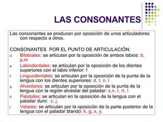 LAS CONSONANTES Las consonantes se producen por oposición de unos articuladores con respecto a otros. CONSONANTES  POR EL PUNTO DE ARTICULACIÓN: Bilabiales : se articulan por la oposición de ambos labios:  b,   p,m Labiodentales : se articulan por la oposición de los dientes superiores con el labio inferior:  f Linguodentales : se articulan por la oposición de la punta de la lengua con los dientes superiores:  d, t, n, l Alveolares : se articulan por la oposición de la punta de la lengua con la región alveolar del paladar:  s,n, r, rr, l Palatales : se articulan en la oposición de la lengua con el paladar duro:  c, j, Velares : se articulan por la oposición de la parte posterior de la lengua con el paladar blando:  k, g, x, y,  