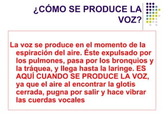 ¿CÓMO SE PRODUCE LA
                    VOZ?

La voz se produce en el momento de la
 espiración del aire. Éste expulsado por
 los pulmones, pasa por los bronquios y
 la tráquea, y llega hasta la laringe. ES
 AQUÍ CUANDO SE PRODUCE LA VOZ,
 ya que el aire al encontrar la glotis
 cerrada, pugna por salir y hace vibrar
 las cuerdas vocales
 