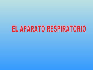 EL APARATO RESPIRATORIO 