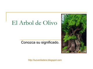 El Arbol de Olivo Conozca su significado. http:// luzverdadera.blogspot.com 