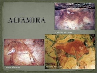 Bisonte Altamira Caballo Altamira Cierva Altamira 