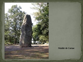 Menhir de Carnac 