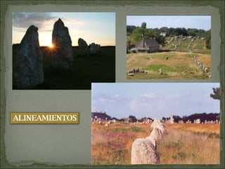 ALINEAMIENTOS 