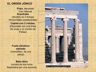 EL ORDEN JÓNICO Basa ática (consta de dos toros Separados por una escocia) Fuste cilíndrico estriado (monolítico, de una pieza) Capitel con 2 volutas, (Decorado con una línea De ovas y un cordón de Perlas) Arquitrabe (dividido en 3 franjas Horizontales escalonadas) Friso , decorado Con relieves 
