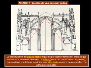ALZADO  Y  Sección de una catedral gótica La organización del  alzado interior  sigue su precedente románico: arcadas que conducen a las naves laterales, un  triforio   (estrecho  pasadizo con arquerías), que sustituye a la tribuna románica y un  claristorio  o cuerpo de ventanales con vidrieras coloreadas. 