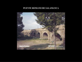 PUENTE ROMANO DE SALAMANCA 