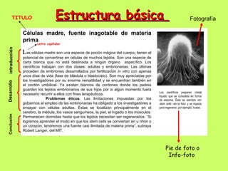 TITULO                    Estructura básica                                                                     Fotografía

               Células madre, fuente inagotable de materia
               prima
                       Letra capitular
introducción




               L as células madre son una especie de poción mágica del cuerpo, tienen el
               potencial de convertirse en células de muchos tejidos. Son una especie de
               carta blanca que no está destinada a ningún órgano específico. Los
               científicos trabajan con dos clases: adultas y embrionarias. Las últimas
               proceden de embriones desarrollados por fertilización in vitro con apenas
               unos días de vida (fase de blástula o blastocisto). Son muy apreciadas por
               los investigadores por su enorme versatilidad y se encuentran también en
Desarrollo




               el cordón umbilical. Ya existen blancos de cordones donde los padres
               guardan los tejidos embrionarios de sus hijos por si algún momento fuera
                                                                                              Los científicos preparan cristal
               necesario recurrir a ellos con fines terapéuticos.
                                                                                              líquido que se consolida en forma
                              Problemas éticos. Las limitaciones impuestas por los            de espuma. Ésta se siembra con
               gobiernos al empleo de las embrionarias ha obligado a los investigadores a     stem cells –en la foto- y se inyecta
               ensayar con células adultas. Éstas se localizan principalmente en el           para regenerar, por ejemplo, hueso.
               cerebro, la médula, los vasos sanguíneos, la piel, el hígado o los músculos.
 Conclusión




               Permanecen dormidas hasta que los tejidos necesitan ser regenerados. “Si
               logramos aprender el modo en que los stem cells se conviertan en u riñón o
               un corazón, tendremos una fuente casi ilimitada de materia prima”, subraya
               Robert Langer, del MIT.



                                                                                                   Pie de foto o
                                                                                                    Info-foto
 