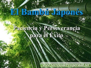 El Bambú Japonés Paciencia y Perseverancia para el Éxito 