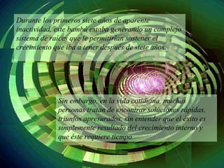 Durante los primeros siete años de aparente inactividad, este bambú estaba generando un complejo sistema de raíces que le permitirían sostener el crecimiento que iba a tener después de siete años.  Sin embargo, en la vida cotidiana, muchas personas tratan de encontrar soluciones rápidas, triunfos apresurados, sin entender que el éxito es simplemente resultado del crecimiento interno y que éste requiere tiempo 