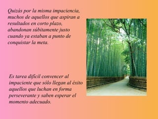 Quizás por la misma impaciencia, muchos de aquellos que aspiran a resultados en corto plazo, abandonan súbitamente justo cuando ya estaban a punto de conquistar la meta.  Es tarea difícil convencer al impaciente que sólo llegan al éxito aquellos que luchan en forma perseverante y saben esperar el momento adecuado.  