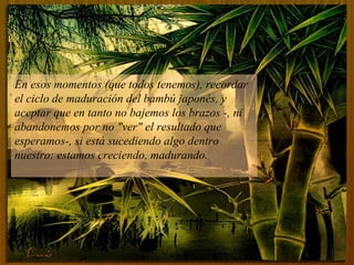 En esos momentos (que todos tenemos), recordar el ciclo de maduración del bambú japonés, y aceptar que en tanto no bajemos los brazos -, ni abandonemos por no "ver" el resultado que esperamos-, si está sucediendo algo dentro nuestro: estamos creciendo, madurando.  