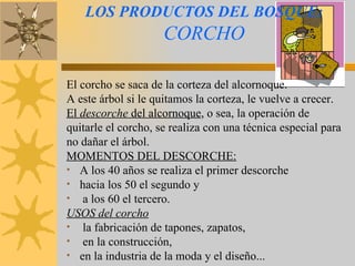 LOS PRODUCTOS DEL BOSQUE:   CORCHO El corcho se saca de la corteza del alcornoque.  A este árbol si le quitamos la corteza, le vuelve a crecer. El  descorche  del alcornoque , o sea, la operación de quitarle el corcho, se realiza con una técnica especial para no dañar el árbol. MOMENTOS DEL DESCORCHE: A los 40 años se realiza el primer descorche hacia los 50 el segundo y a los 60 el tercero. USOS del corcho la fabricación de tapones, zapatos, en la construcción, en la industria de la moda y el diseño...  