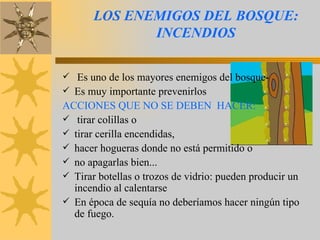 LOS ENEMIGOS DEL BOSQUE: INCENDIOS Es uno de los mayores enemigos del bosque- Es muy importante prevenirlos ACCIONES QUE NO SE DEBEN  HACER: tirar colillas o tirar cerilla encendidas, hacer hogueras donde no está permitido o  no apagarlas bien...  Tirar botellas o trozos de vidrio: pueden producir un incendio al calentarse En época de sequía no deberíamos hacer ningún tipo de fuego.  