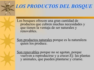 LOS PRODUCTOS DEL BOSQUE Los bosques ofrecen una gran cantidad de productos que cubren muchas necesidades y que tienen la ventaja de ser naturales y renovables. Son productos naturales  porque es la naturaleza quien los produce. Son renovables  porque no se agotan, porque vuelven a reproducirse y a crecer.Ej: las plantas y animales, que pueden plantarse y criarse. 