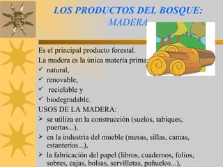 LOS PRODUCTOS DEL BOSQUE:  MADERA Es el principal producto forestal. La madera es la única materia prima: natural,  renovable, reciclable y  biodegradable. USOS DE LA MADERA: se utiliza en la construcción (suelos, tabiques, puertas...), en la industria del mueble (mesas, sillas, camas, estanterías...),  la fabricación del papel (libros, cuadernos, folios, sobres, cajas, bolsas, servilletas, pañuelos...), 