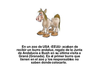   En un zoo de USA -EEUU- acaban de recibir un burro andaluz, regalo de la Junta de Andalucía a Bush en su última visita a Graná (Granada). Es el primer burro que tienen en el zoo y los responsables no saben donde colocarlo.   