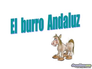 El burro-andaluz-diapositivas