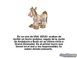   En un zoo de USA -EEUU- acaban de recibir un burro andaluz, regalo de la Junta de Andalucía a Bush en su última visita a Graná (Granada). Es el primer burro que tienen en el zoo y los responsables no saben donde colocarlo.   