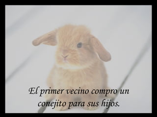 El primer vecino compro un
conejito para sus hijos.
 