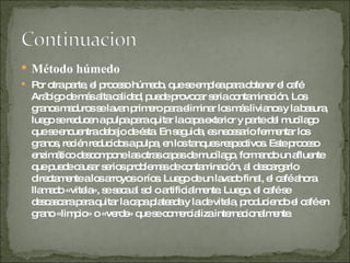 Método húmedo  Por otra parte, el proceso húmedo, que se emplea para obtener el café Arábigo de más alta calidad, puede provocar seria contaminación. Los granos maduros se lavan primero para eliminar los más livianos y la basura, luego se reducen a pulpa para quitar la capa exterior y parte del mucílago que se encuentra debajo de ésta. En seguida, es necesario fermentar los granos, recién reducidos a pulpa, en los tanques respectivos. Este proceso enzimático descompone las otras capas de mucílago, formando un afluente que puede causar serios problemas de contaminación, al descargarlo directamente a los arroyos o ríos. Luego de un lavado final, el café ahora llamado «vitela», se seca al sol o artificialmente. Luego, el café se descascara para quitar la capa plateada y la de vitela, produciendo el café en grano «limpio» o «verde» que se comercializa internacionalmente. 